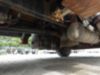 2017 Freightliner M2 Terex HRX-55 Material Handler Bucket Truck