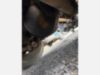 1995 Westernstar 4900 Log Loader Truck