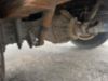2016 ISUZU NPR-HD 4x2 Box Truck