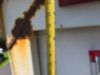 PROD TEST UNIT - NOT FOR SALE! 1997 Int'l Diesel 4x2 4900 Cab Chassis Truck