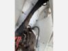 2023 Freightliner M2 4x2 Terex XT60/70RM Pro Forestry Bucket Truck