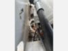 2023 Freightliner M2 4x2 Terex XT60/70RM Pro Forestry Bucket Truck