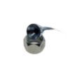 Automann Air Bag Adapter Kenworth