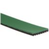 8 Rib Micro-V Belt 54.5