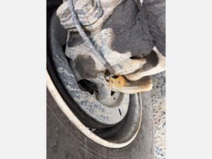 2017 Freightliner M2 4x4 Terex HRX-55 Material Handler Bucket Truck