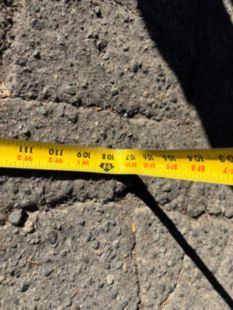 2021 Freightliner M2 4x2 Terex XT-PRO 60/70 Forestry Bucket Truck