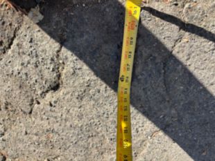 2021 Freightliner M2 4x2 Terex XT-PRO 60/70 Forestry Bucket Truck