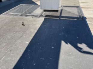 2021 Freightliner M2 4x2 Terex XT-PRO 60/70 Forestry Bucket Truck