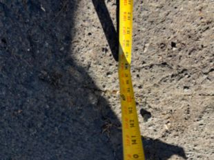 2021 Freightliner M2 4x2 Terex XT-PRO 60/70 Forestry Bucket Truck