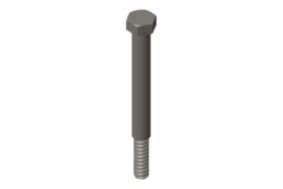 BELT TENISOR