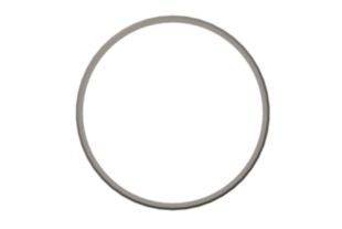 SEAL,RECTANGULAR RING