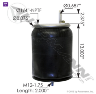 AIR SPRING ROLLING LOBE 8829