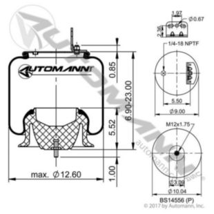 AIR SPRING ROLLING LOBE 8829