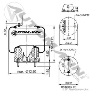 AIR SPRING ROLLING LOBE