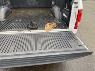 2016 Ford F150 4x4 Pickup Truck