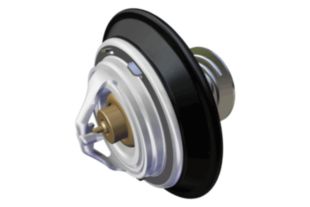 THERMOSTAT KIT