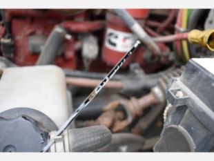 2019 Freightliner M2 4x2 Altec LR7-60E70 Forestry Bucket Truck