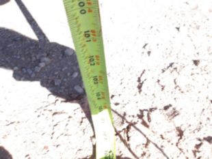 2019 RAM 5500 4x4 Flatbed Truck