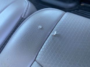 2019 Single Hi-Rail Service Truck