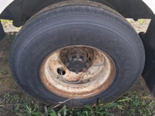 2009 Int'l 4300 4x2 Altec TA-40 Bucket Truck