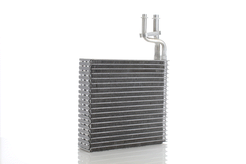 EVAPORATOR
